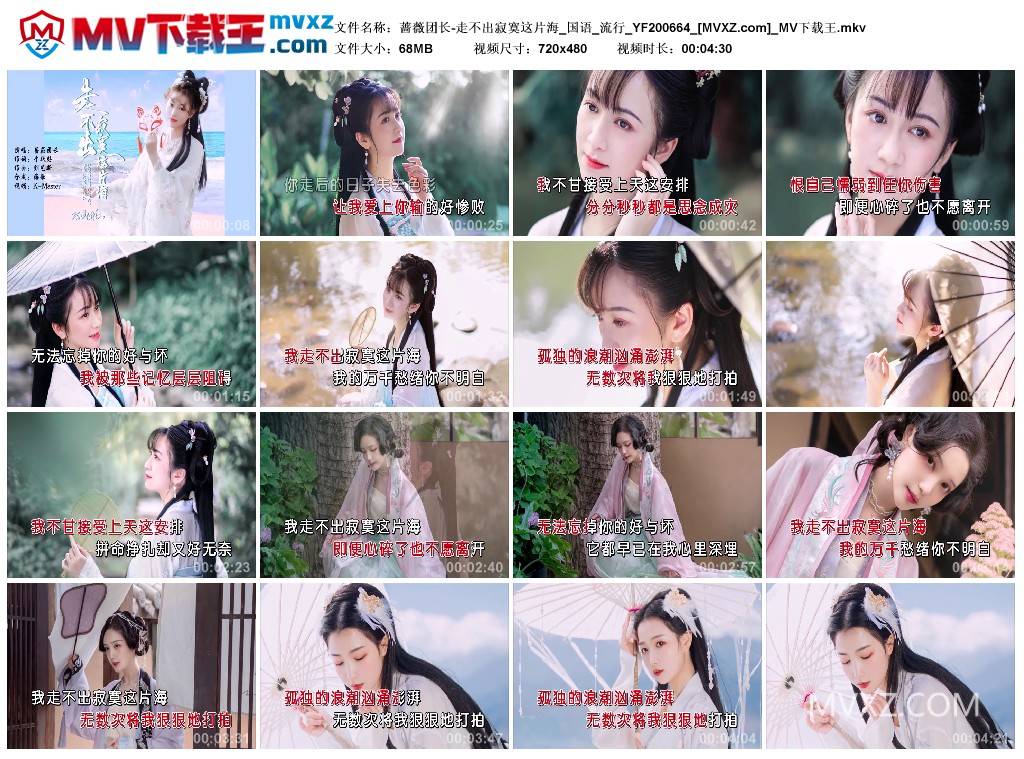 蔷薇团长-走不出寂寞这片海_国语_流行_YF200664